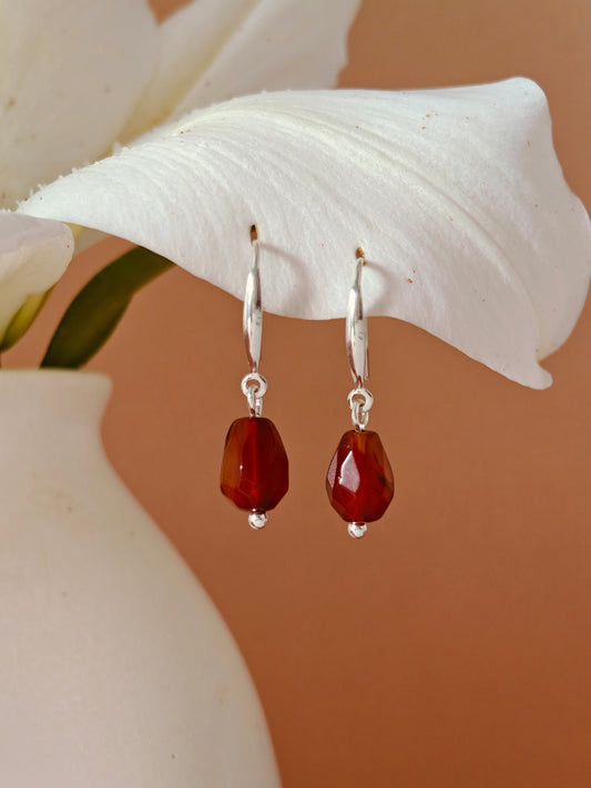 Red Agate Faceted Pomegranate Seed Hook Earrings (Sterling Silver)